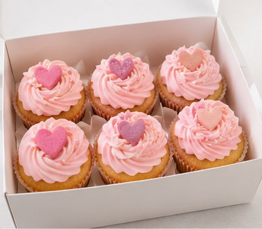 Cupcake Box