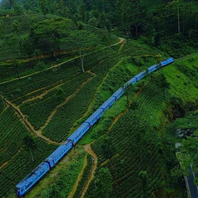 15 Days 14 Nights Tour for Sri Lanka with 7B Holidays