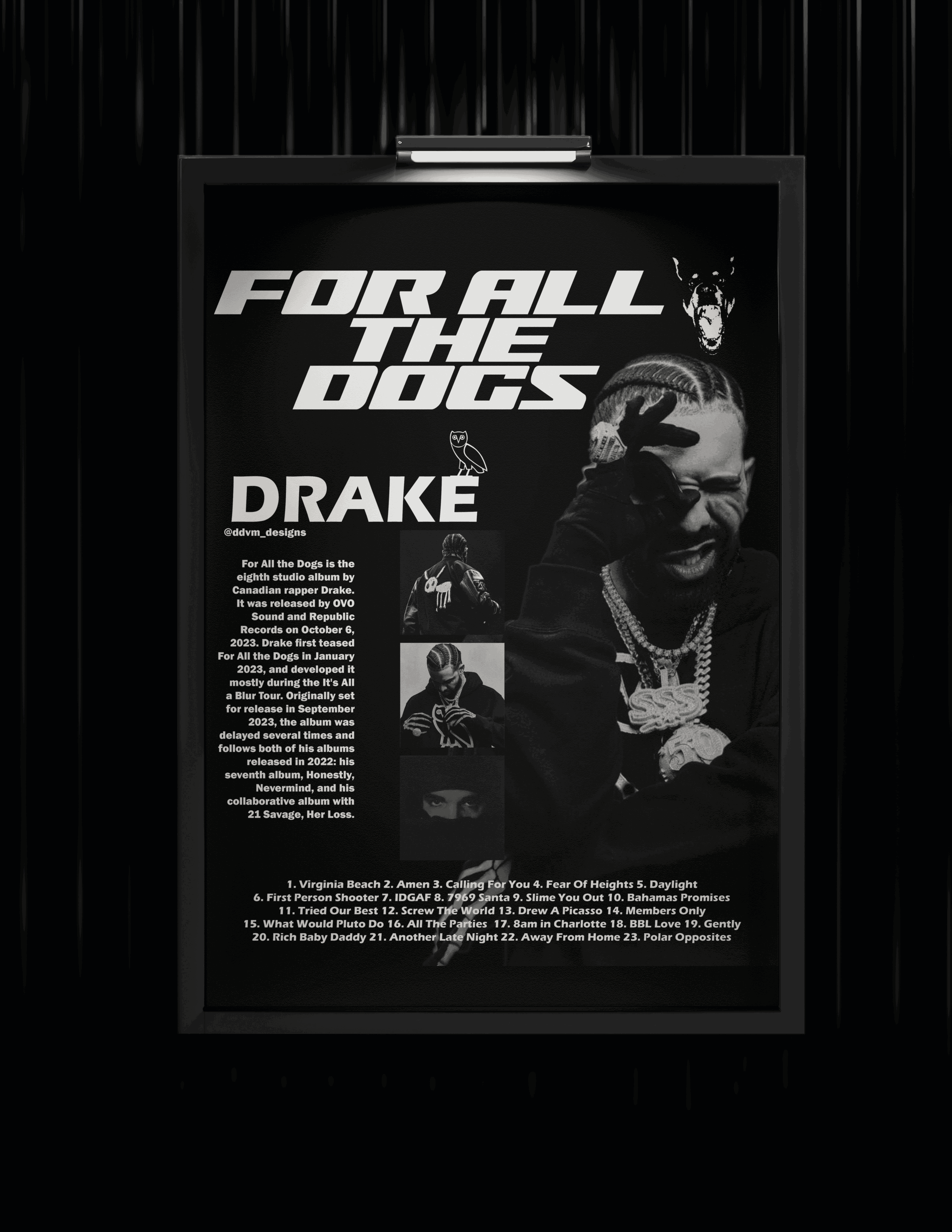 Drake Wall Poster_0