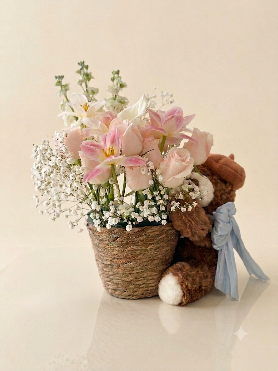 Amane 天音 Bear_0