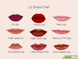 Lips