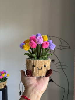 XL sunshine in a pot 