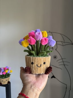 XL sunshine in a pot 