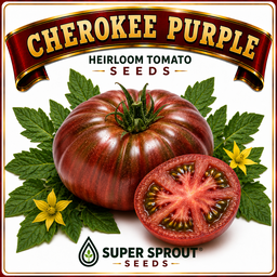 🍅CHEROKEE PURPLE🍅 x 10 seeds