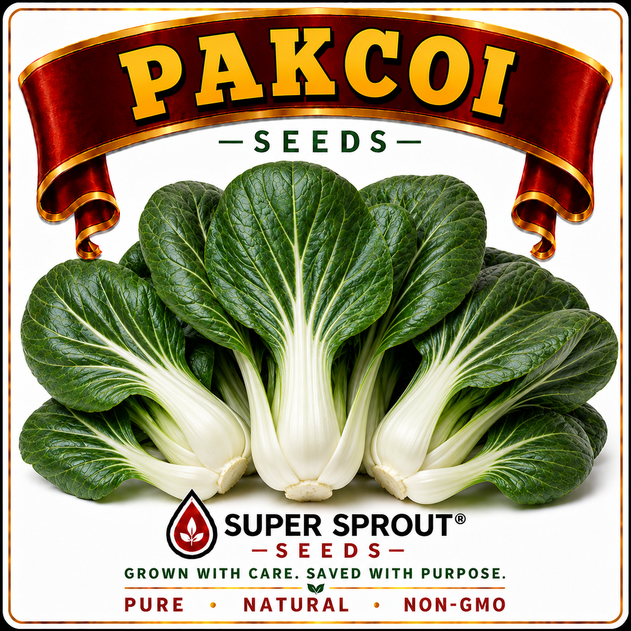 🌱POK CHOI🌱 x 50+ seeds