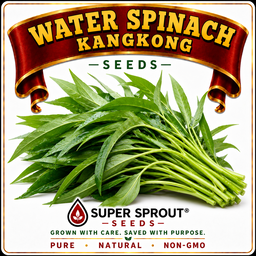 WATER SPINACH x 10 seeds