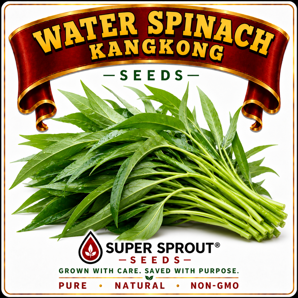 WATER SPINACH x 10 seeds