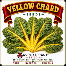 YELLOW SWISS CHARD x 35+ organic seeds