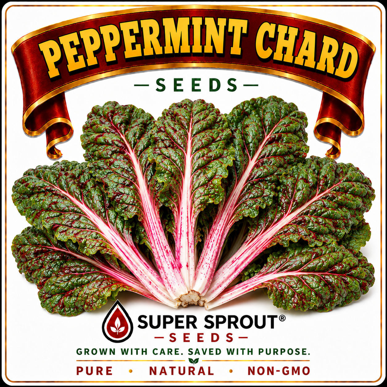 PEPPERMINT SWISS CHARD x 50+ seeds