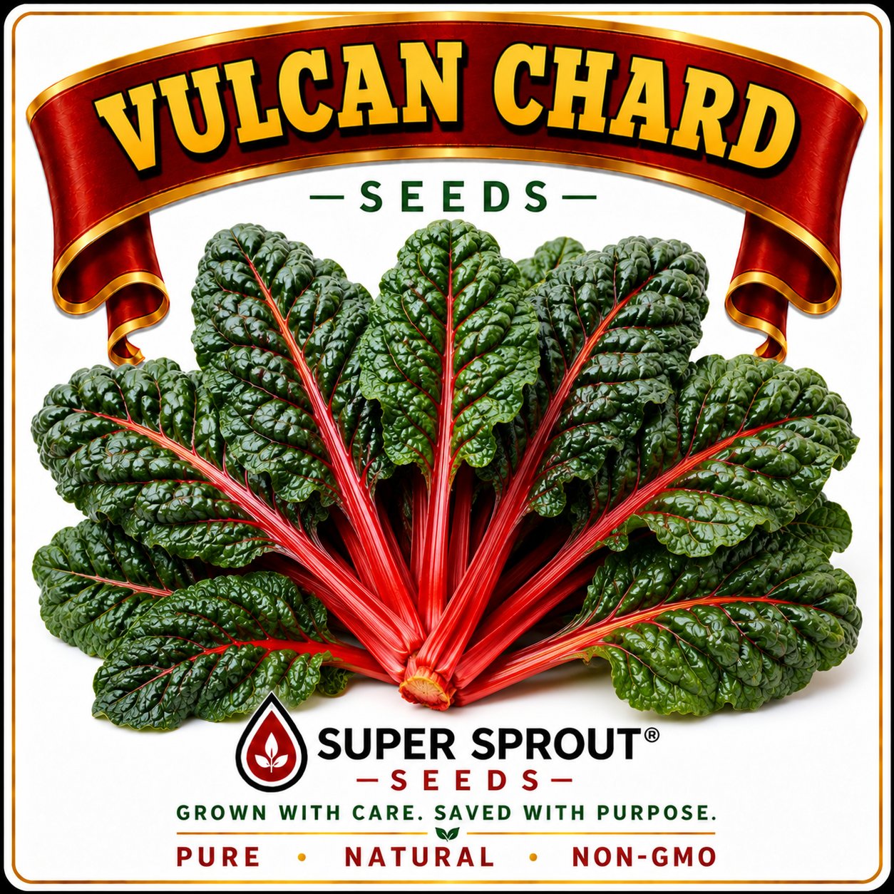 VULCAN CHARD x 50+ organic seeds