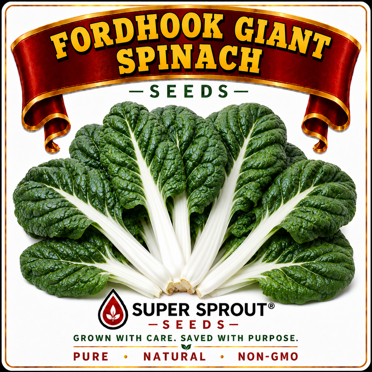 FORDHOOK GIANT SWISS CHARD x 50+ seeds