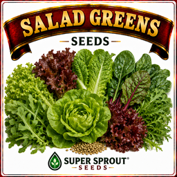 Salad Greens Seeds