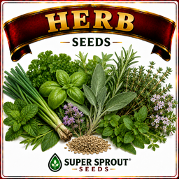 Herb Seeds