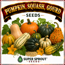 Pumpkin, Squash & Gourd Seeds