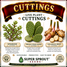 ✂️CUTTINGS✂️ 