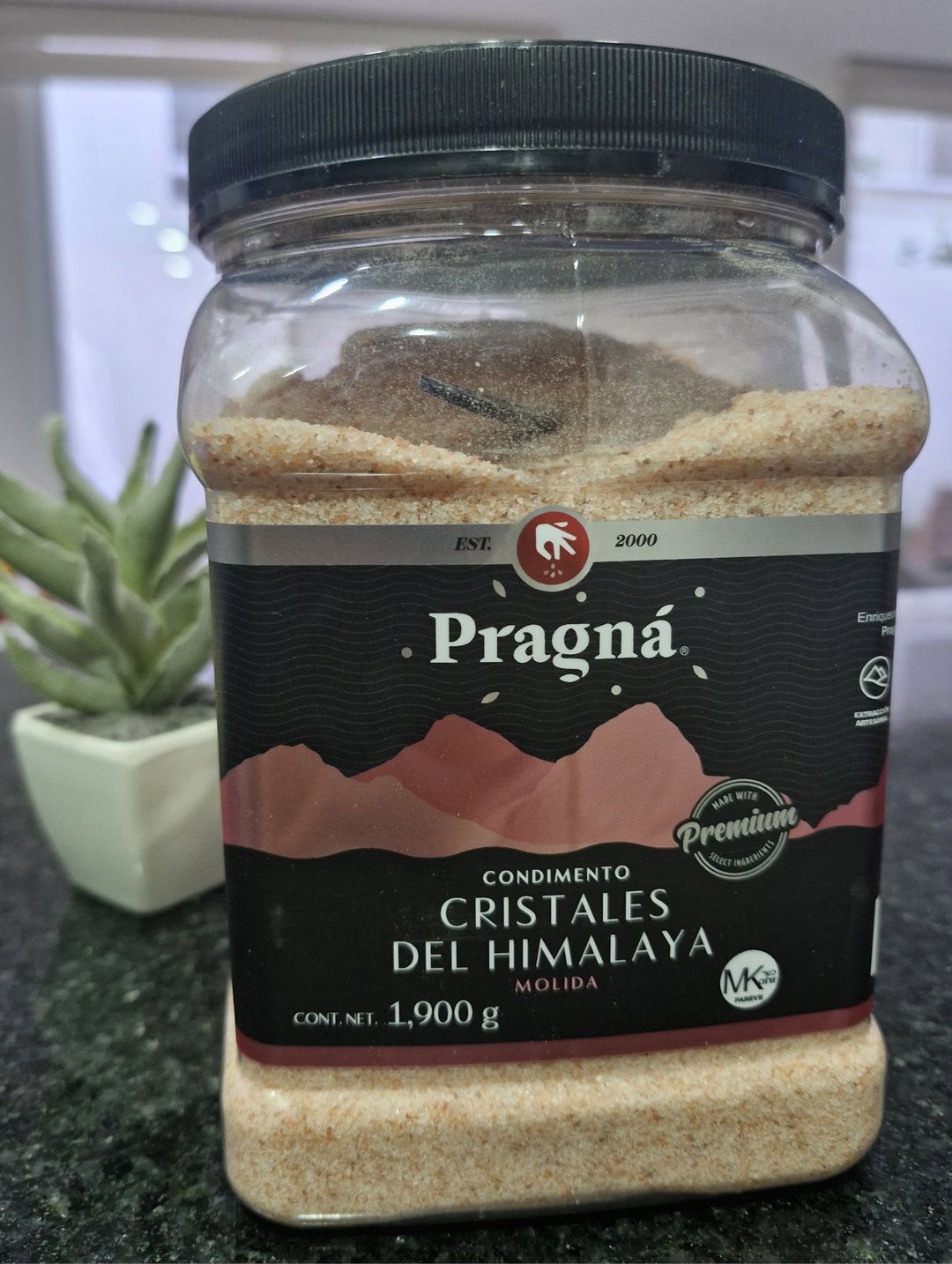 Sal Himalaya Pragná