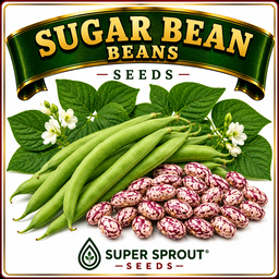 🌿SUGAR BEANS🌿 x 20+ seeds