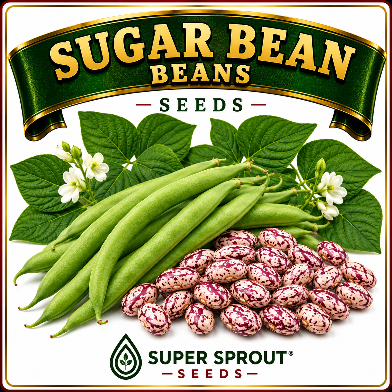 🌿SUGAR BEANS🌿 x 20+ seeds