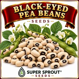 🌿BLACK-EYED PEA🌿 x 25  organic seeds