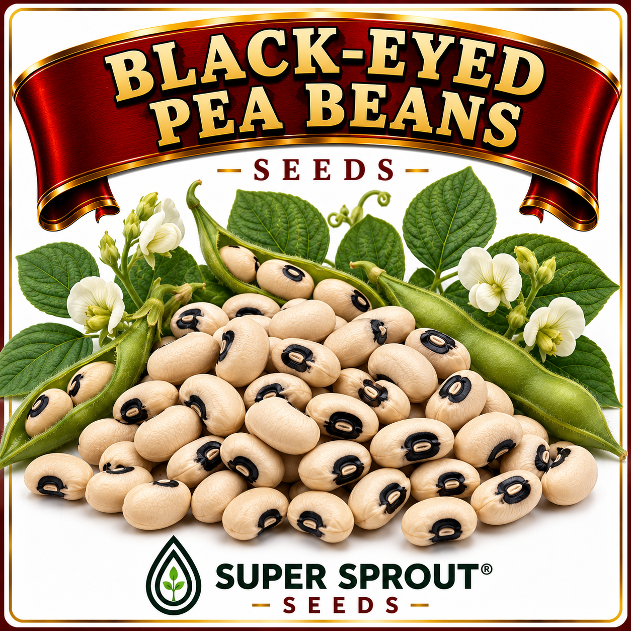 🌿BLACK-EYED PEA🌿 x 25  organic seeds