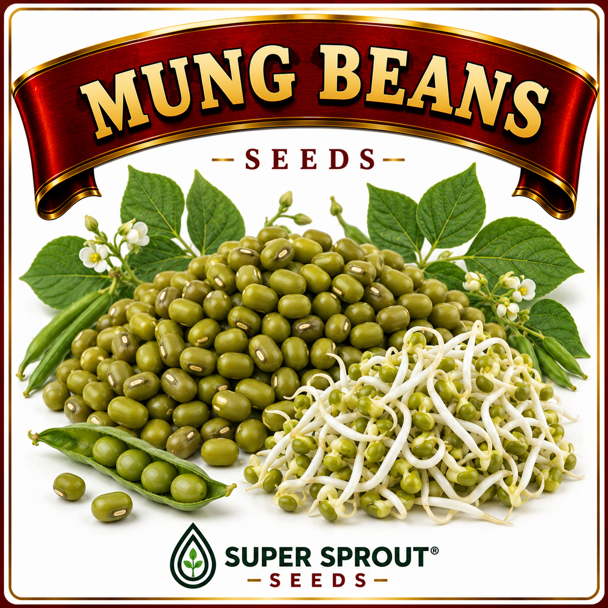 🫘MUNG BEANS🫘 x 50 organic seeds