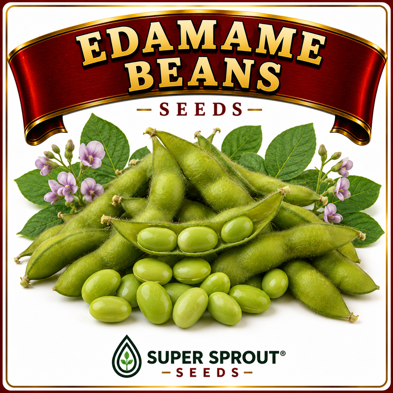 EDAMAME BEANS x 25 seeds