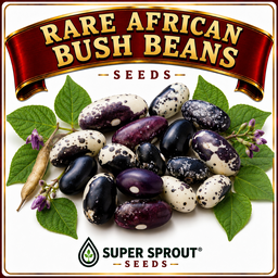 RARE AFRICAN BUSH BEAN MIX x 20+ seeds