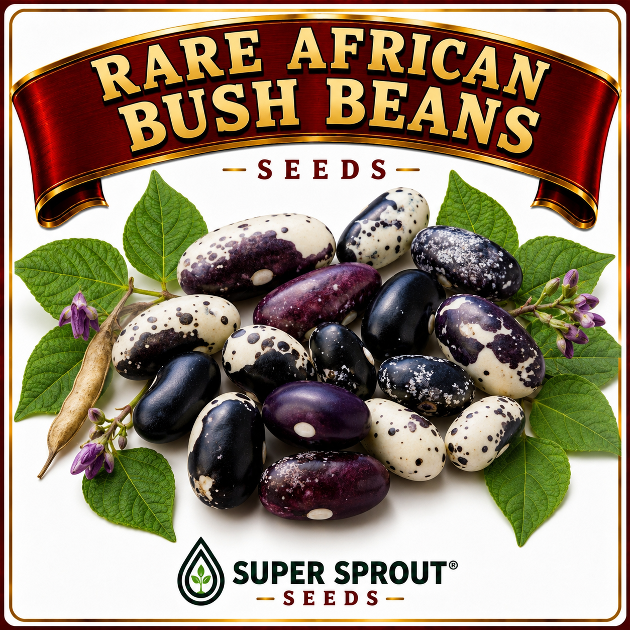 RARE AFRICAN BUSH BEAN MIX x 20+ seeds