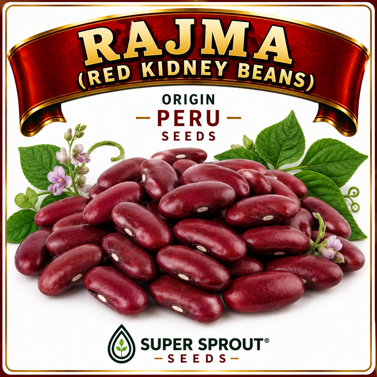 Rajma red kidney beans x 15 seeds 