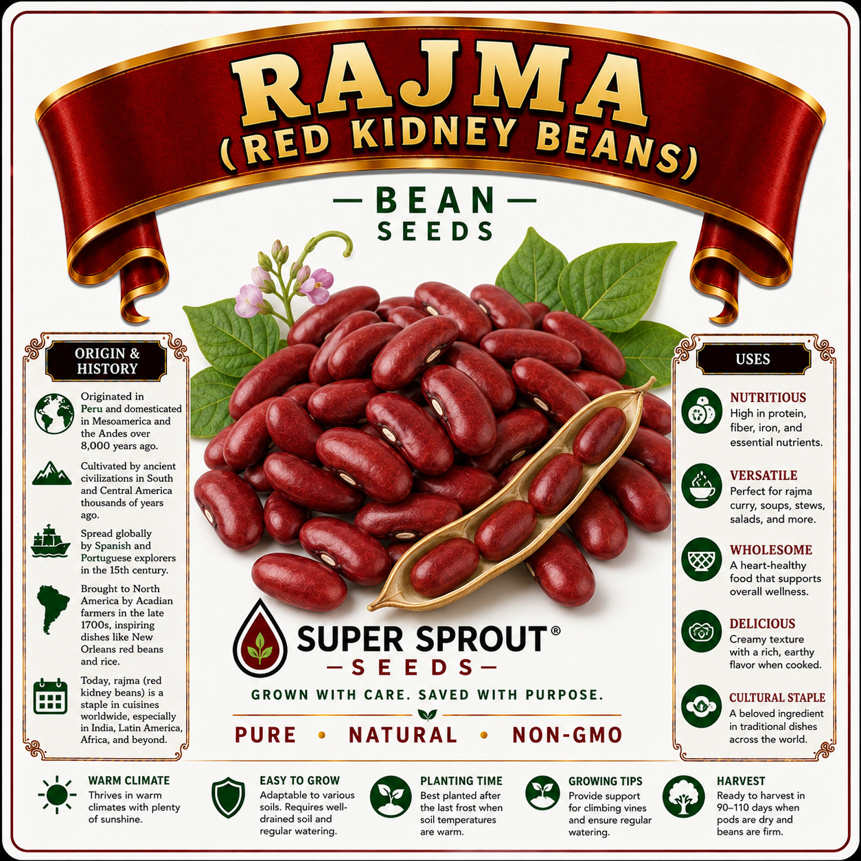 Rajma red kidney beans x 15 seeds _1
