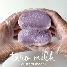 Box of 4 Custard Mochi 