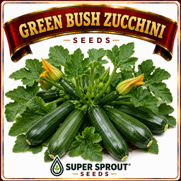 🥒GREEN BUSH ZUCCHINI 🥒 x 10 seeds