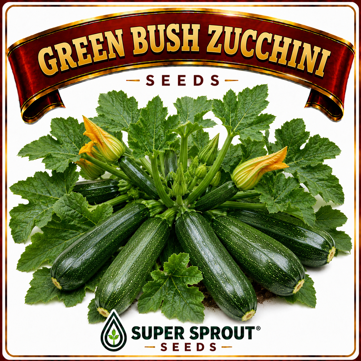🥒GREEN BUSH ZUCCHINI 🥒 x 10 seeds