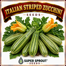 🥒ITALIAN STRIPED ZUCCHINI🥒 x 10 seeds