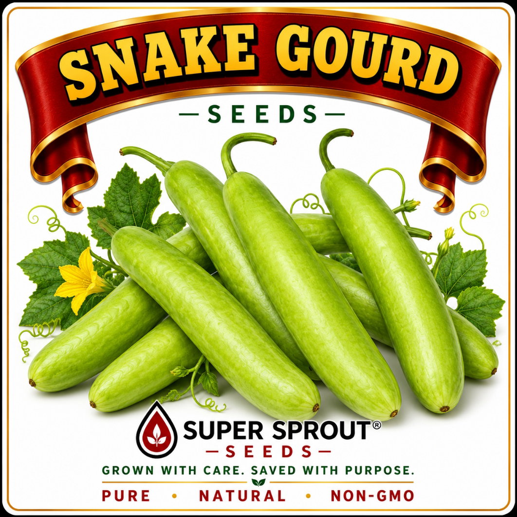 🐍SNAKE GOURD🐍 x 5 seeds