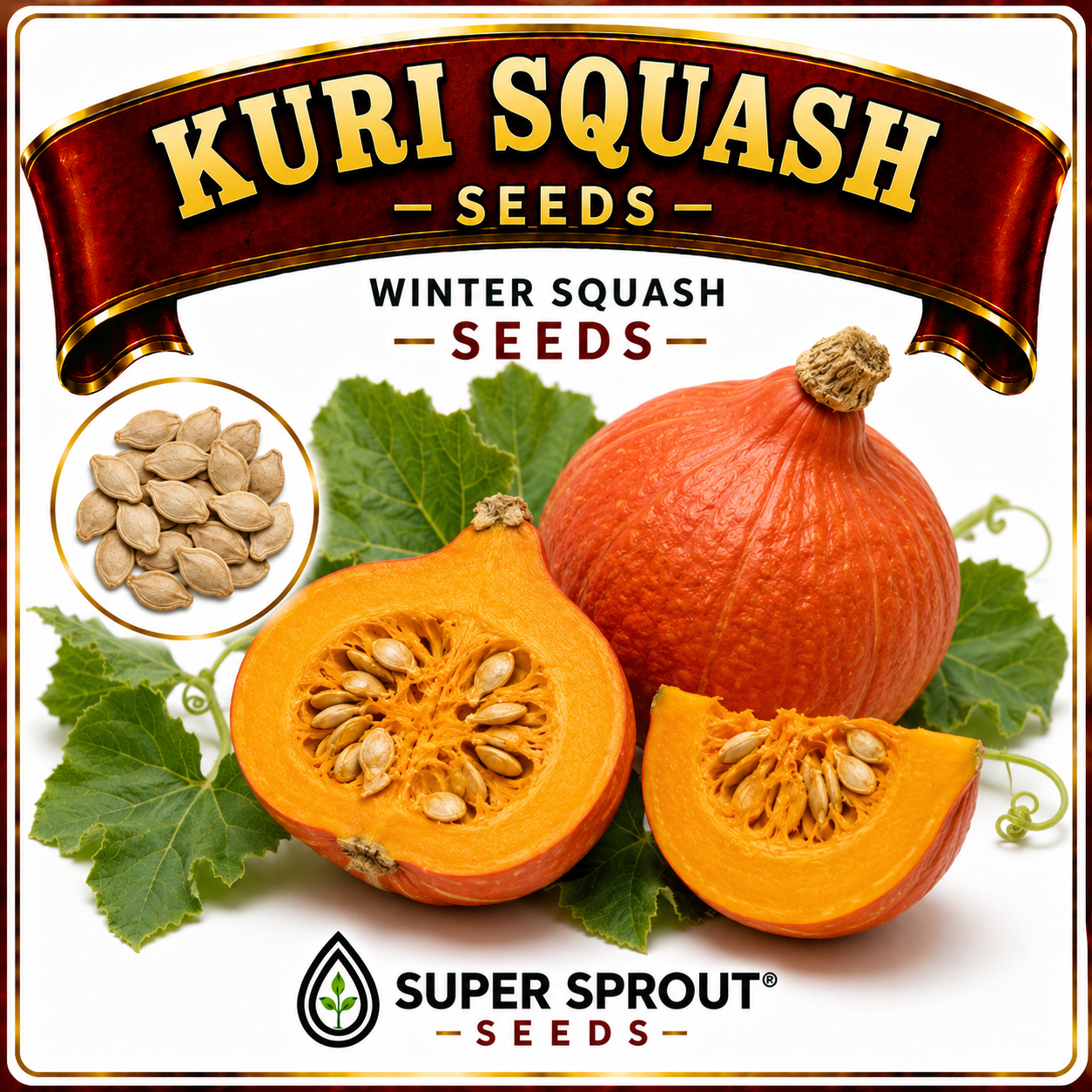 🎃KURI SQUASH🎃 x 10 seeds