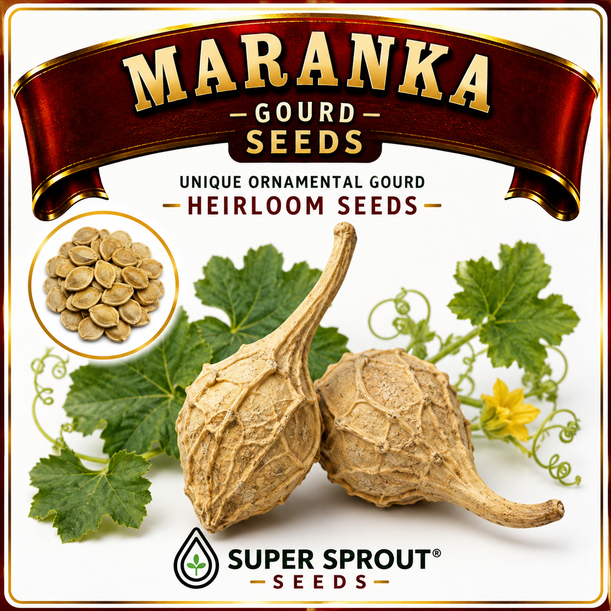 🎃MARANKA/CAVEMAN'S CLUB GOURD🎃 x 5 seeds