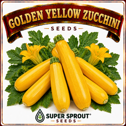 Golden yellow zucchini x 10 seeds 