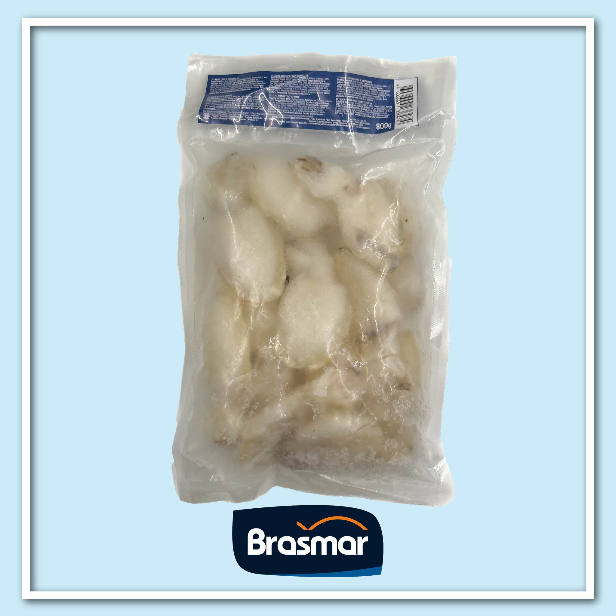 Brasmar Cuttlefish Cleaned 13/20 - Frozen_1