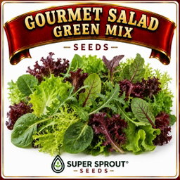 Gourmet lettuce mix x 100+ seeds 