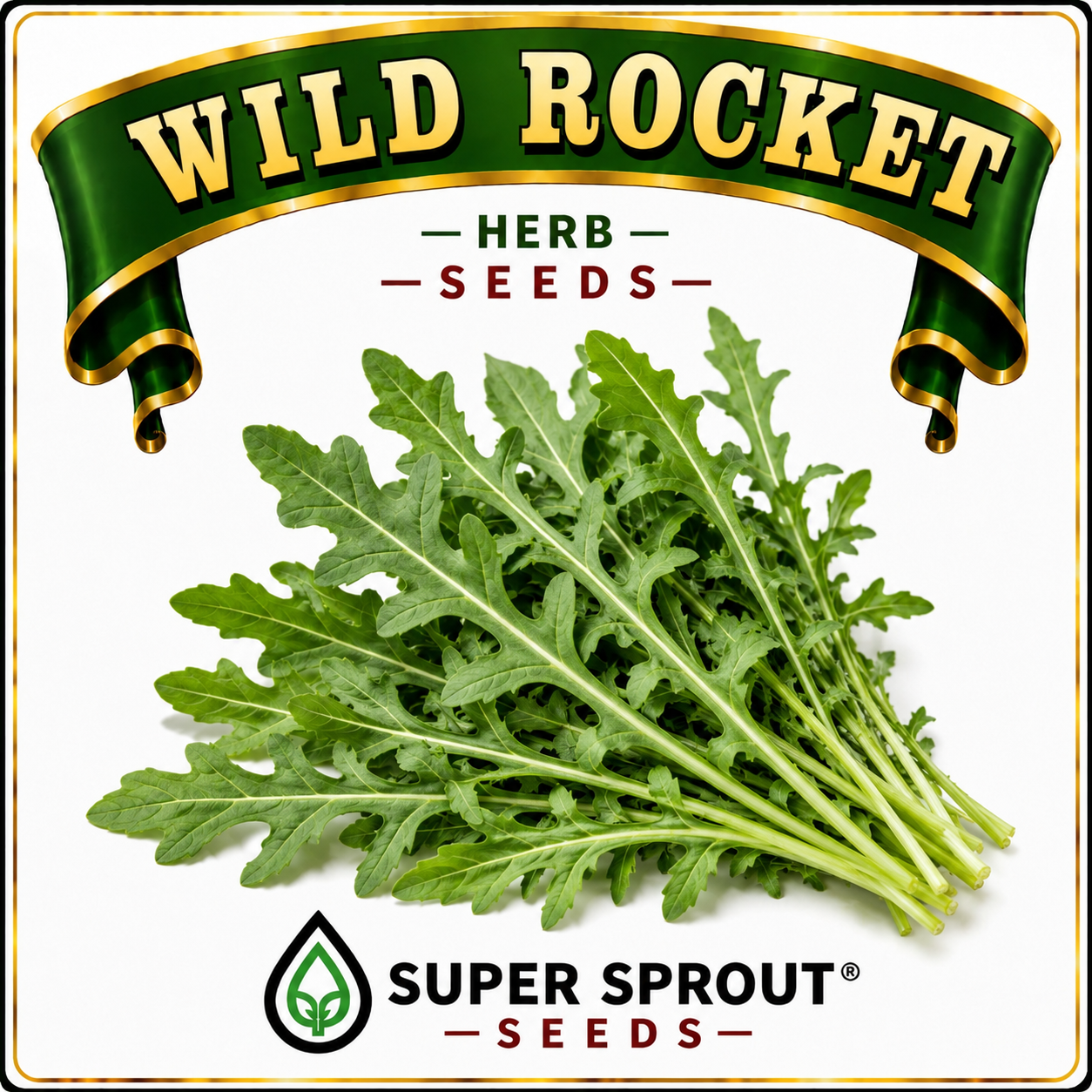 🌿WILD ROCKET🌿 x 50+ seeds