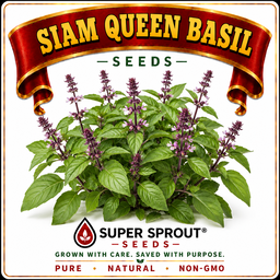 🌱THAI BASIL🌱 x 15 seeds