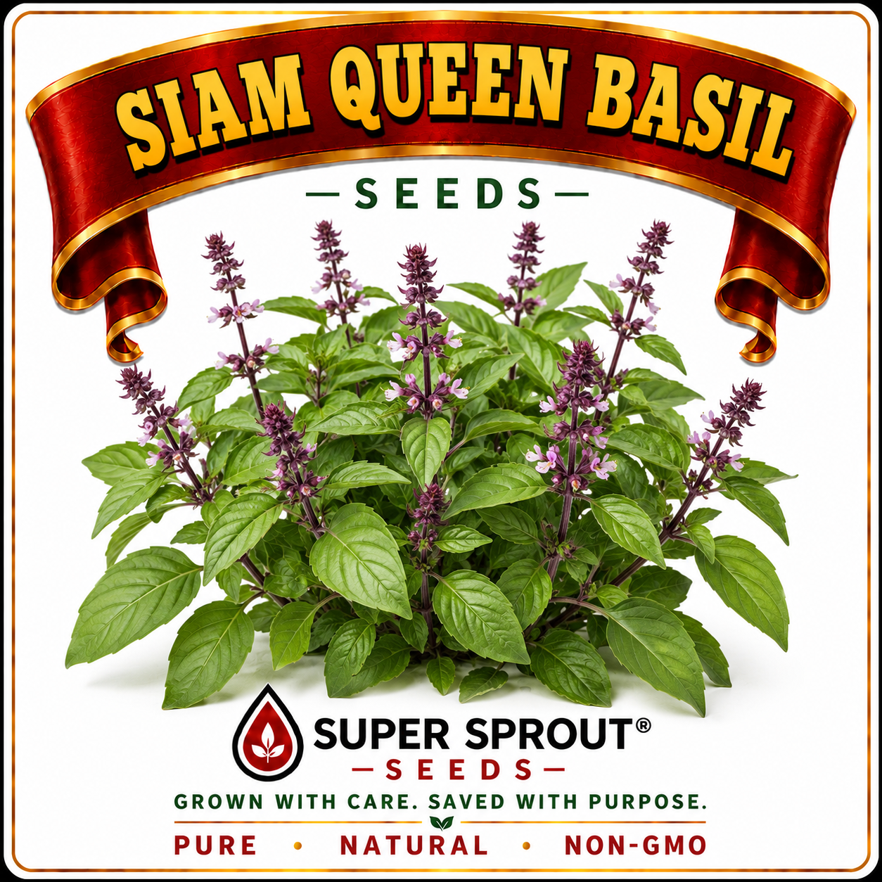 🌱THAI BASIL🌱 x 15 seeds