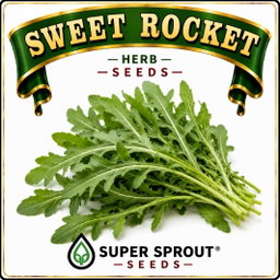 🌱SWEET ROCKET🌱 x 50+ seeds