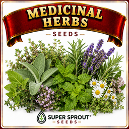 Medicinal Herbs