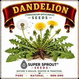🌼DANDELION🌼 x 25+ seeds