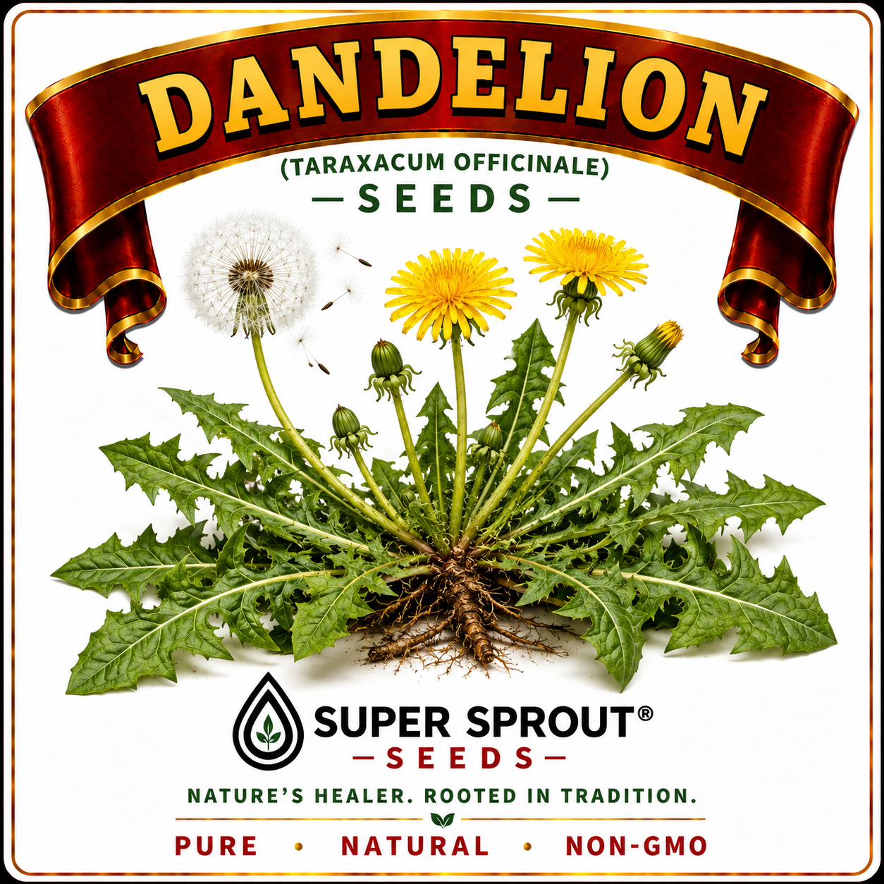 🌼DANDELION🌼 x 25+ seeds