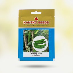 Sigarilyas Winged Bean Medium 10grams