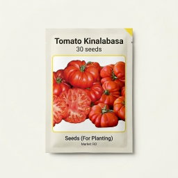 Tomato Kinalabasa 30 seeds