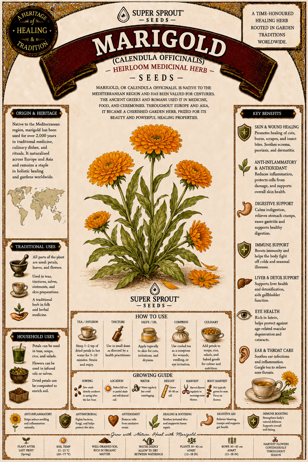🌸CALENDULA🌸 x 15 seeds_1